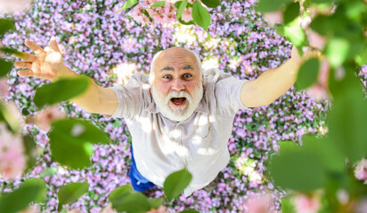 I am free. old man enjoy spring nature. senior man with gray beard in straw hat. happy retirement. grandfather smiling while watching pink sakura blossom. man under cherry blooming tree © be free