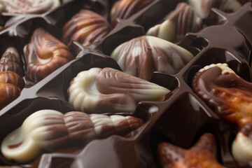 Box of chocolates seashells isolated on white background.