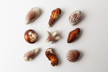 Chocolates seashells isolated on white background.
