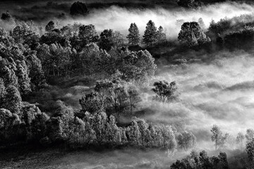 The awakening, black and white landscape at sunrise 
