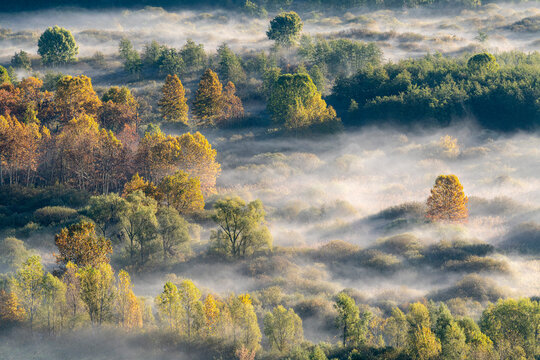 Sunrise over the misty forest