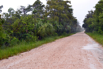 Everglades Road