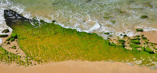 Coastline with mossy rocks 