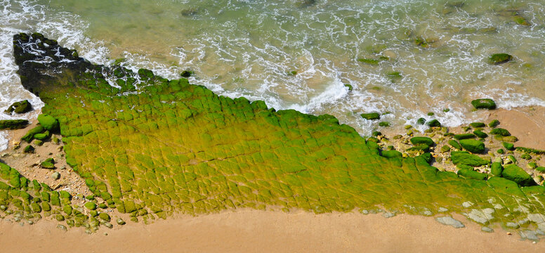 Coastline with mossy rocks 