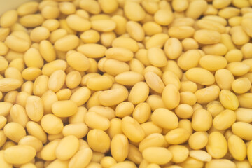 Soybeans with water on a pure white background