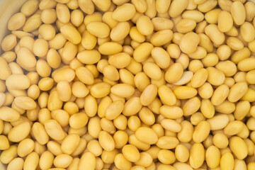Soybeans with water on a pure white background