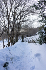 completely snowy road in a valley of the Aragonese Pyrenees