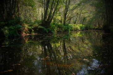 R&iacute;o en oto&ntilde;o