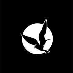 logo flying birds abstract , logo bird abstract , Bird  Logo design element  Vector Image