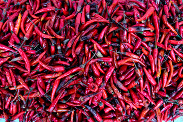 Close-up Fresh red chili peppers