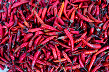 Close-up Fresh red chili peppers