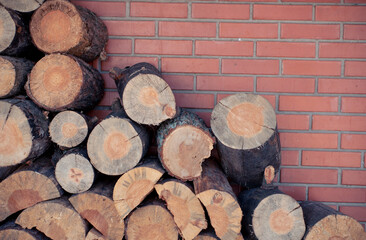 stack of firewood
