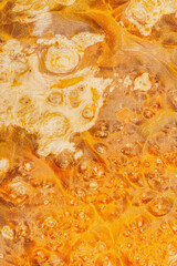 Macro photography of a stabilized wooden block with a color dye, The texture of a decorative wood Acer, maples, Natural wood pattern