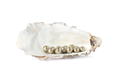 Oyster shell with golden pearls on white background