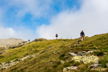 Group of hikers ascending top of Pietrosul Rodnei. Mountain ridge slopes of Rodna Mountains National Park multiday hike, Muntii Rodnei National Park, Romania, Romanian Carpathian Mountains, Europe.