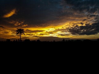 Fototapeta na wymiar Maasai mara sunset with palm trees before a thunderstorm,