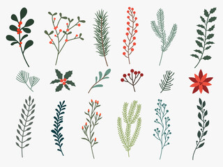 Set of winter branches with leaves. Collection of decorative floral holiday plants  spruce twig, branch with berry, poinsettia. Christmas herbs. Colorful illustration of botanical composition.