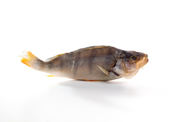 Dried perch fish on a white background