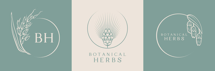 Collection of botanical logos with herbs. A set of floral emblems of botanical herbs. Beautiful icons of herbs for natural and organic products or cosmetics