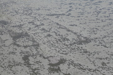 Schlick im Watt bei Ebbe, Deutschland