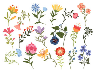 Set of stylized flowers. Collection of colorful decorative flowers. Flower with ornaments. Botanical. Natural elements. Illustration for children. Vector illustration on white background. © panaceaart