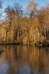Obraz premium Frozen water fountain in the park Volkspark Friedrichshain in Berlin in december