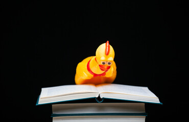 image of book rubber chicken dark background