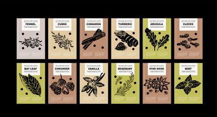 Fennel, cumin, cinnamon, turmeric, arugula, cloves, bay leaf, coriander, vanilla, rosemary, star anise, mint. Set of posters of spices and herbs for food preparing and culinary in a abstract design