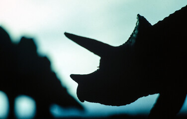 Dinosaur. Stegosaurus Tryceratops © A