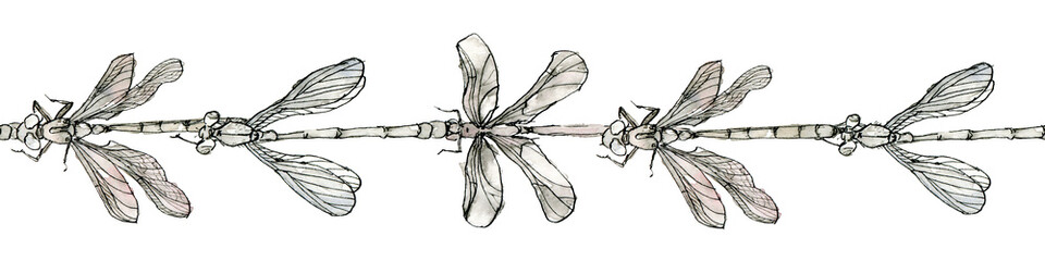 Watercolor illustration of dragonfly, seamless stripe, a pastel color sketch isolated on a white background. Elegant insects drawn by hand with ink.