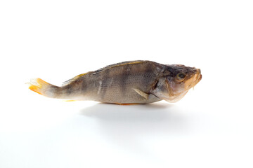 Dried perch fish on a white background