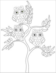 Coloring book for adult and older children. Coloring page with cute owl and floral frame. Outline drawing in zentangle style