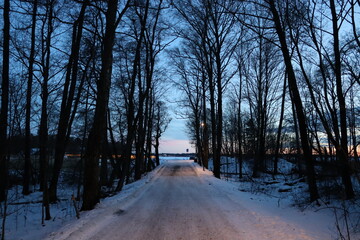 Road in winter leading to shore