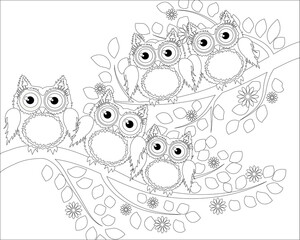 Coloring book for adult and older children. Coloring page with cute owl and floral frame. Outline drawing in zentangle style