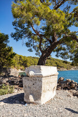 Naklejka premium Ruins of the aqueduct of the ancient ancient city of Phaselis illuminated by the bright sun in Pine forest, woods in sunny weather in Turkey, Antalya, Kemer. Turkey national nature landmarks.