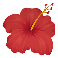 Hibiscus blossom. Tropical flower plant with red petals