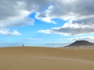 Fototapeta na wymiar Loneliness in the desert