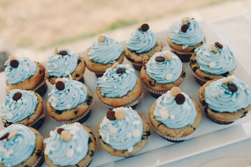 cupcakes with chocolate