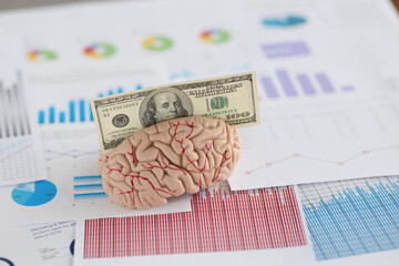 Banknote fit in anatomical model of human brain, miniature put on business papers