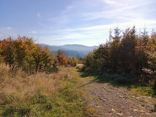 Fototapeta premium rr