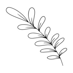 A simple leaf of a Summer plant. Vector illustration isolated on a white background.