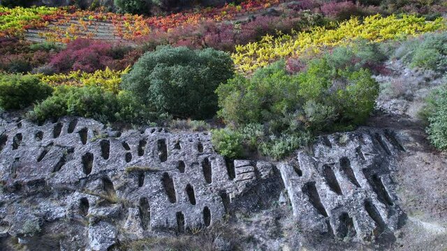 Necropolis i in the surroundings of vineyards in autumn, La Rioja, Spain, Europe
