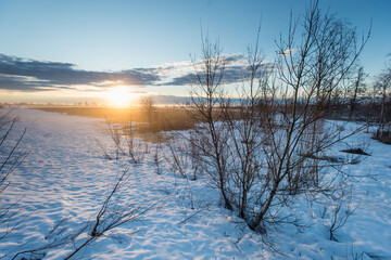 spring arctic tundra at sunset