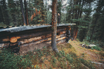 Side view of an underground wooden house in the boreal forest. A wooden cabin built on the...