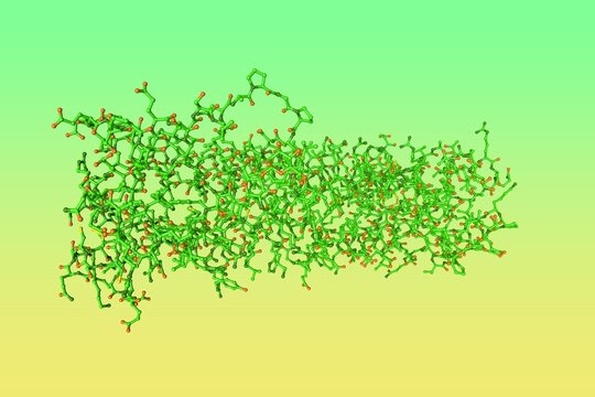 Molecular model of human interleukin-34, a cytokine that promotes the proliferation, survival and differentiation of monocytes and macrophages. Scientific background. 3d illustration