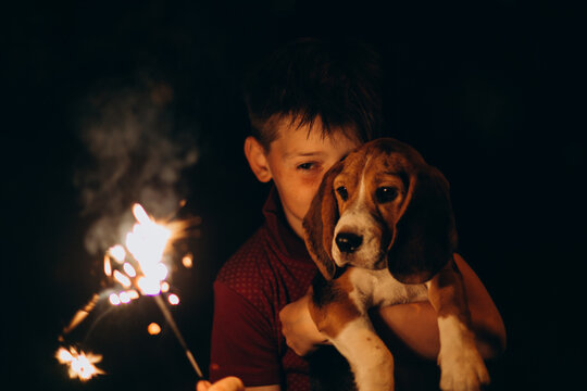 Closeup Boy And Dog (beagle Puppy) Having Fun With Bengal Lights At Night Event (4th Of July). Happy Boy Holding Burning Fireworks Outside