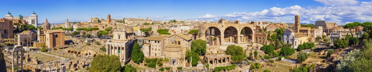 Fototapeta na wymiar Roman ruins in Rome, Forum - a huge panorama with all sights