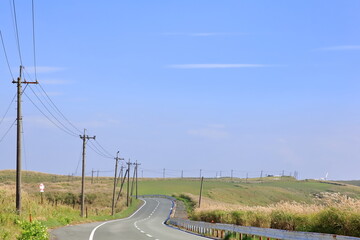 草原沿いの道