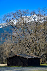 Landscape of wooden cabin in the middle of the forest with mountains in the background.