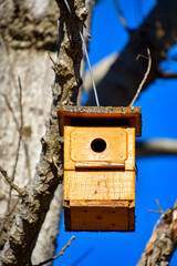Small wooden hut for bird nests hanging from a tree.